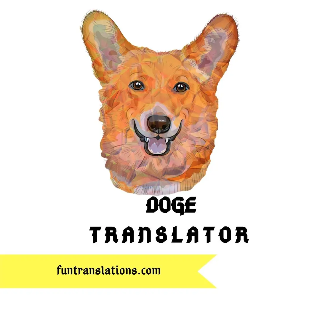 Doge translator
